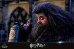 Wizarding World 10-Film Collection [Blu-ray] - Harry Potter und Fantastische Tierwesen