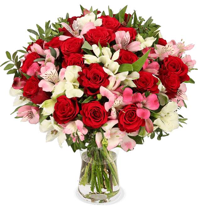 30 Stiele Strauß mit bis zu 100 Blüten | 18 Rosen, 8 Inkalilien, 4 Pistacia (50cm Länge) | 7 Tage-Frischegarantie | Liefertermin wählbar