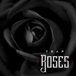 Diginoiz Trap Roses + 808 Adventures + Pop Guitars - 3 Sample Packs kostenlos [Musik Apps]