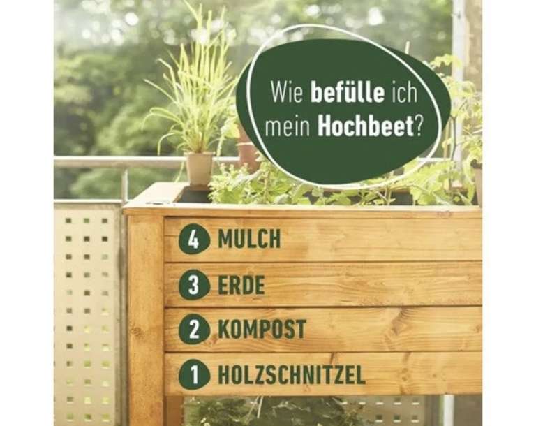 gurke saatgut gewinnen Seedeo Salatgurke Nishiki (Cucumis sativus L.) ca. 10 Samen BIO