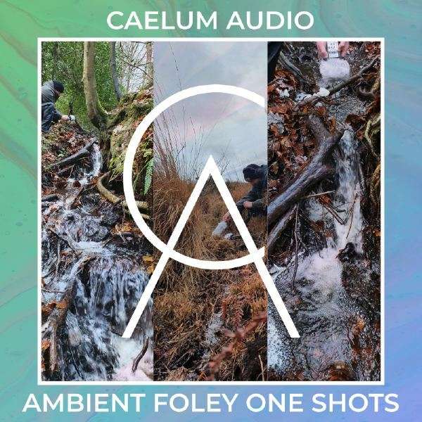 Caelum Audio "Ambient Foley One-Shots" Samples ausm Wald (: und 2 Freebies (VST AU AAX // Plugins)