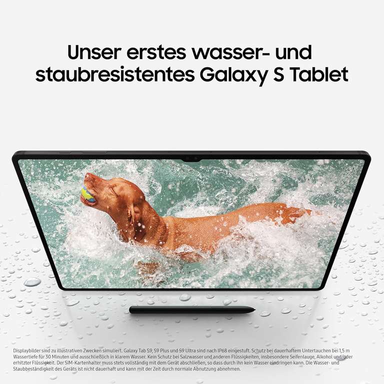 Samsung Tab S9 Ultra 5G bei ebay für 999,-€