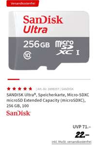 Sandisk Micro SDXC 256GB