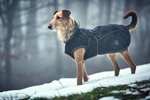 [Amazon Prime] HUNTER UPPSALA Hundemantel, wasserabweisend, reflektierend, 45cm Rückenlänge, schwarz