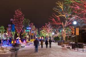 [lokal Chicago, USA] kostenfreier Eintritt Zoo Lights (wie Christmas Garden)