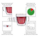Sänger | Doppelwandige Gläser mit Henkel, 6-teiliges Gläser-Set, Thermo-Gläser, Kaffee Gläser doppelwandig | Füllmenge 220 ml