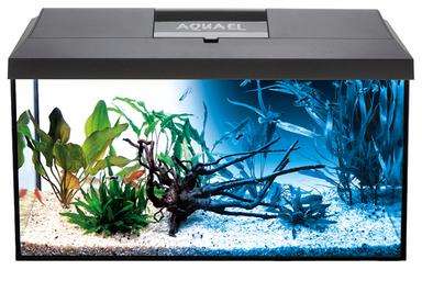 Aquael Leddy Day & Night 60 2.0 Aquarium-Set 54 L inkl. LED, Filter & Heizer, ab 62,99€ bei Dehner at Dehner