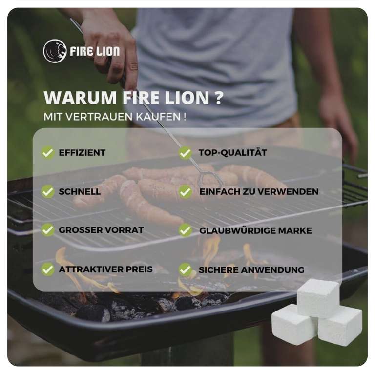 Grill - und Holzkohle Anzünder Fire Lion bei Repo