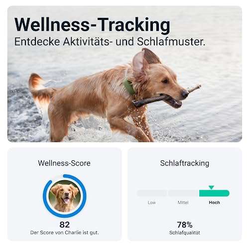 Tractive Dog XL, GPS Tracker (grün) - Amazon DE (Nur Prime)