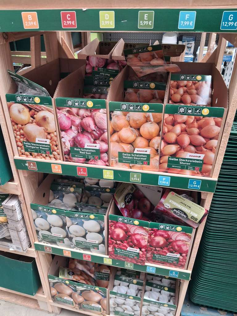 Steckkartoffeln & Steckzwiebeln  50% reduziert bei toom Kriftel, Hessen,  jetzt zugreifen at toom | mydealz
