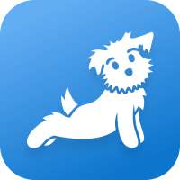 Down Dog Apps (Yoga, Meditation etc.) Jahresabo wieder 67% günstiger.