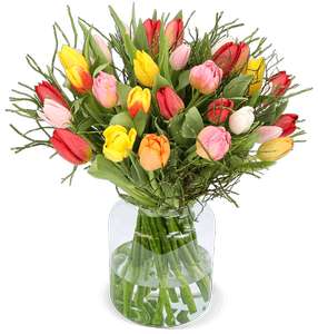 Blume Ideal: Tulpenstrauß "Modern Love" | 12 bunte Tulpen, 3 Pistacia & 3 Heidelbeeren für 19,99€ (statt 29,99€)