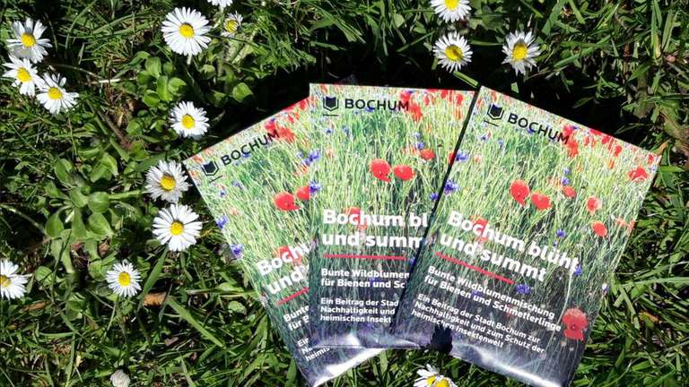 [Lokal Bochum] Gratis Wildblumen Saatgut - 10.000 Tüten - „Bochum blüht und summt“ verfügbar