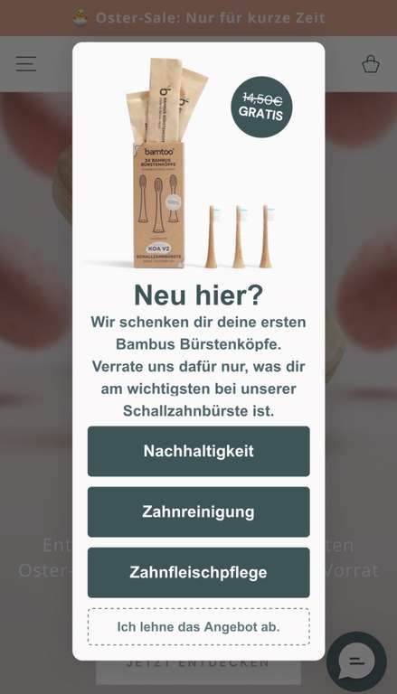 Bamtoo Schallzahnbrste mit Bambuscase + 3 Rizinusborsten  ab 50? bei uns  at Bamtoo - 79,68 | mydealz