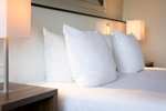 Safaripark Beekse Bergen: Hotel & Tagestickets ab 109€ zu Zweit im 3*Design Hotel Glow | 2 Erw. + 1 Kind 157€ mit Frühst. 4*S Holiday Inn