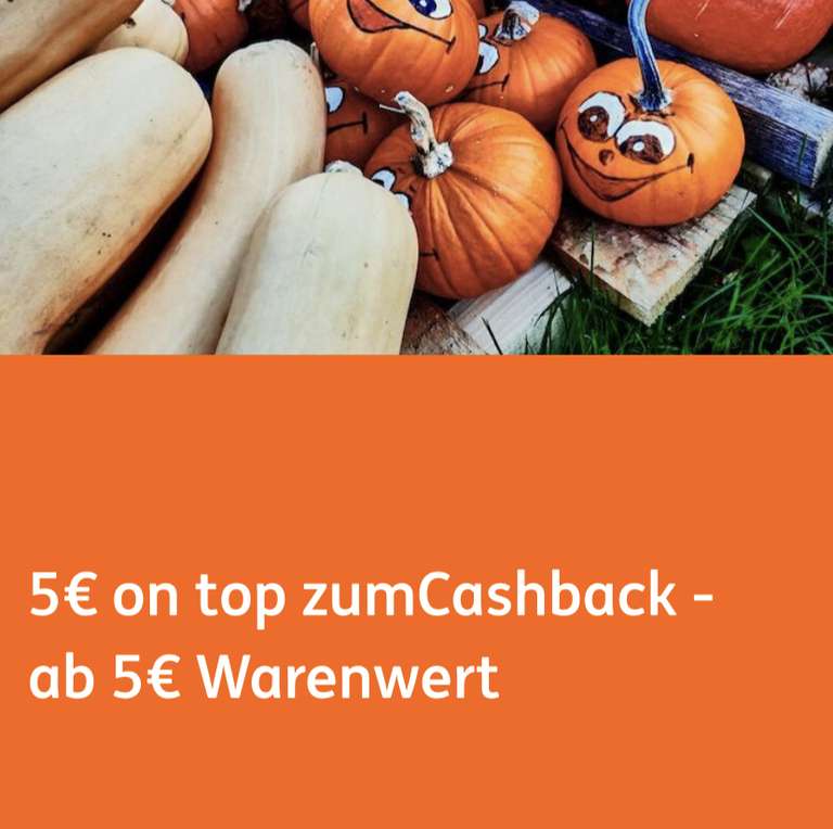 [ING] Dealwise 5€ Extra Cashback ab 5€ MBW (ausgewählte Kategorien)