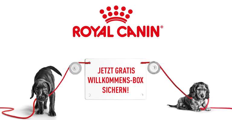 GRATIS Royal Canin Willkommens-Box für Welpen | ab 25.11. GRATIS Probe für Kitten