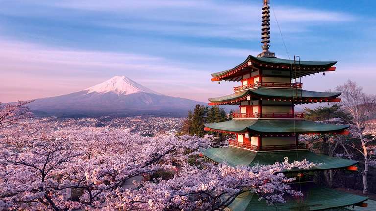 Ab Frankfurt oder München nach Japan (Tokyo, Osaka, Fukuoka) mit Air China in Cherry Blossom Season