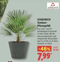 strelitzia allergie Kunstpflanze Strelitzia 150 cm Real Touch