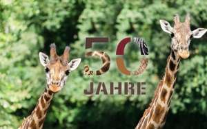 50 Jahre Serengeti-Park / 50% Rabatt auf Tagesticket vom 24. bis 26. Mai 2024