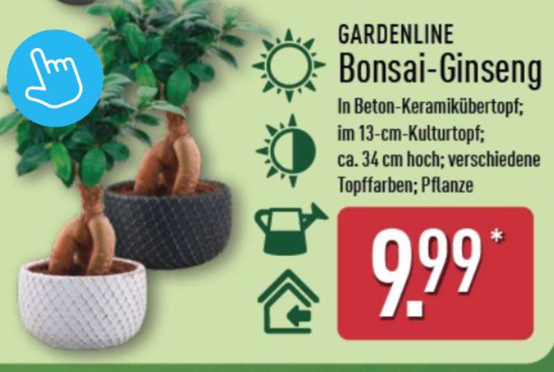 efeu hustentropfen Prospan Hustensaft 100 ml pflanzlich Efeu schleimlösend zuckerfrei main image 1