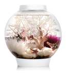 biOrb CLASSIC 15 Liter Acrylaquarium-Komplettset + LED-Beleuchtung | + Pumpe, Filterkartusche, Transformator [Schnecken & Garnelen only]