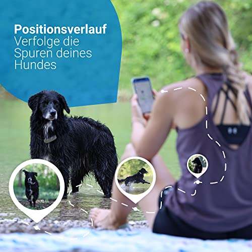 Tractive GPS Tracker für Hunde. Empfohlen von Martin Rütter. Live-Ortung mit unbegrenzter Reichweite. Wasserdicht & mit Weglaufalarm