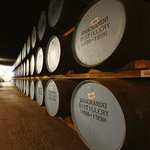 Knockando 12 Jahre | Single Malt Scotch Whisky | 43% vol | 700ml (Prime Spar-Abo)