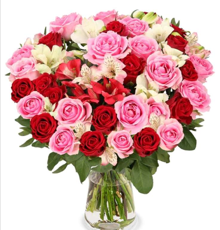 30 Stiele Rosenwunder XXL mit bis zu 100 Blüten für nur 26,98€