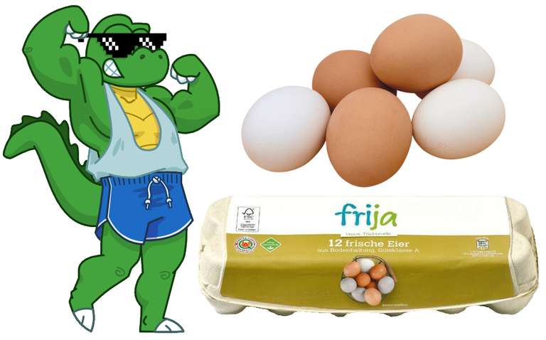 Pumpermarkt [38/23]: z.B. 12 Eier aus Bodenhaltung für 1,49€ bei Netto mit dem Scottie