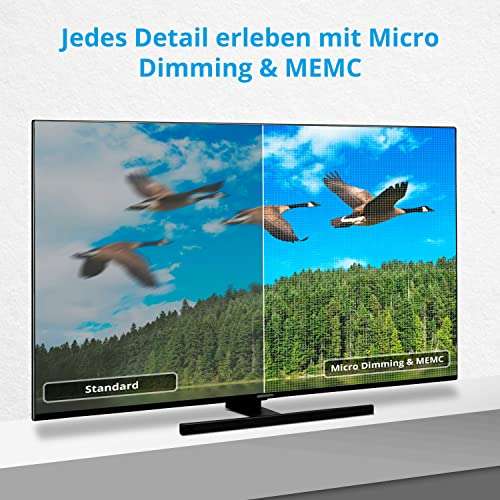 (Prime) MEDION X15571 (MD 30068) 138,8 cm 55 Zoll QLED Fernseher TV