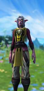 [World of Warcraft] Tabard of Fury Transmog mit Prime Gaming
