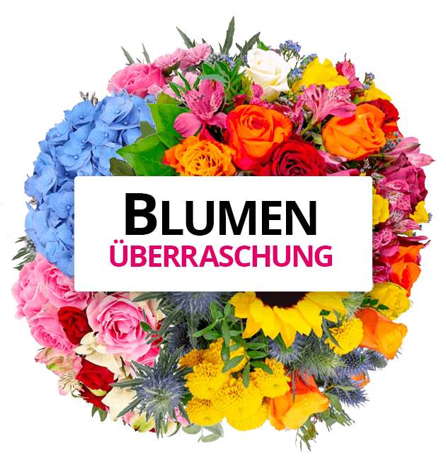 BlumeIdeal: Blumenüberraschung für 26,98€ inkl. Versand (statt 36€)