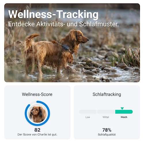 Tractive GPS Tracker Hund | Empfohlen von Martin Rütter | Live-Ortung | Unbegrenzte Reichweite | Weglaufalarm | Wasserdicht (Dunkelblau)