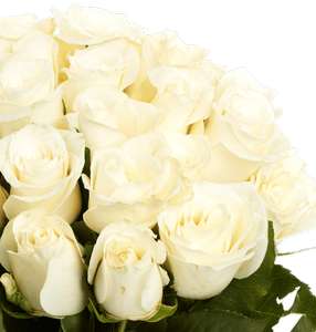 [blumeideal] 44 weiße Rosen (40cm) für 26€ oder 50 pinke Rosen (40cm) für 28€