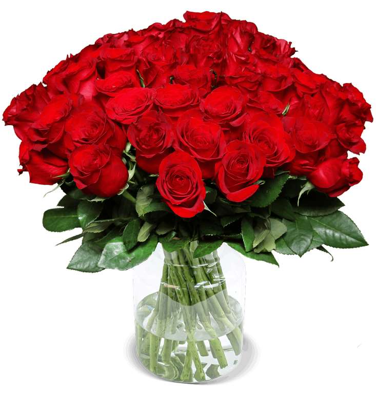 [Blumeideal] 44 rote Rosen "ClassicRed" (40cm Länge) für 25,95€ inkl. Versand