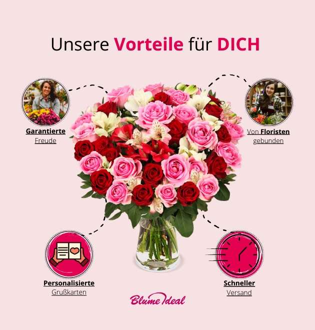 30 Stiele Rosenwunder XXL mit bis zu 100 Blüten für 2,98€ inkl. Versand (statt 40€)