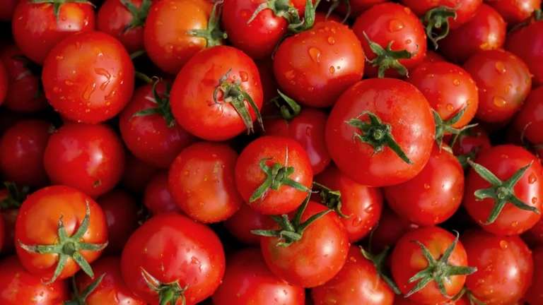 [Marktguru] 0,30€ Cashback beim Kauf von frischen Tomaten