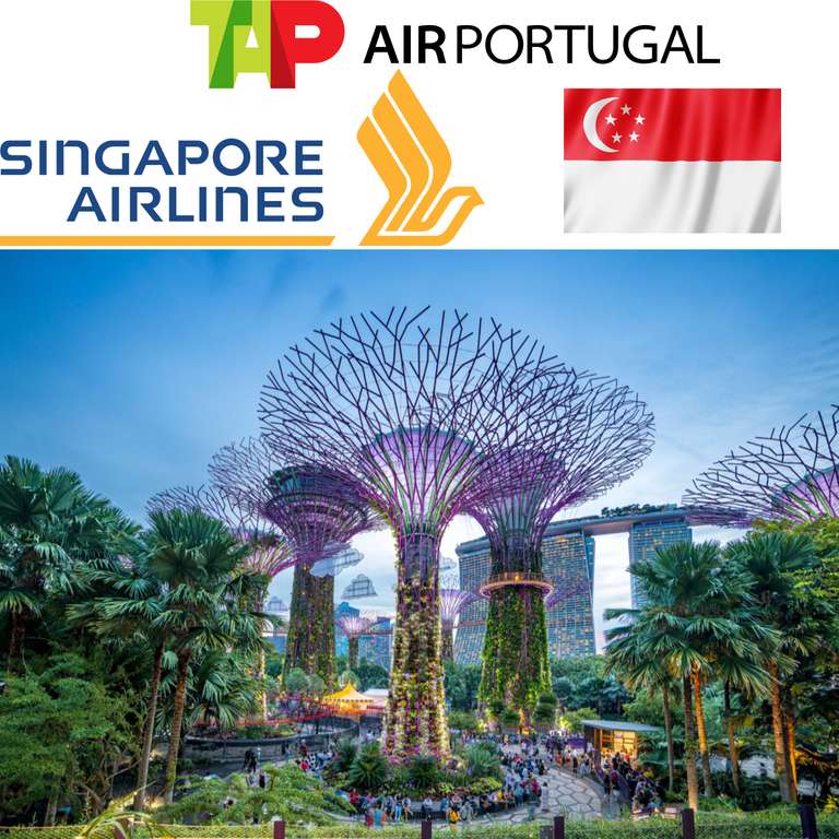 [TAP & Singapore Airlines] Business Class Flüge von Amsterdam nach Singapur (Hin- & Rückflug) | August bis Dezember