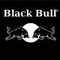 BlackBull's Profilbild