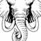 elephants's Profilbild