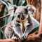 koalabaer75's Profilbild