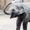 Elefantenrüssel's Profilbild