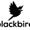 BlackBird19's Profilbild