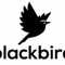 BlackBird19