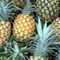 pineappleparadise's Profilbild
