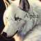 ALPHA_H's Profilbild