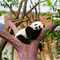 Panda_Network's Profilbild