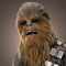 Wookiee200's Profilbild