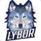 Lybor's Profilbild